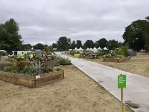 Work begins at RHS Sandringham