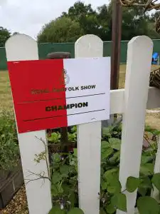 Work begins at RHS Sandringham