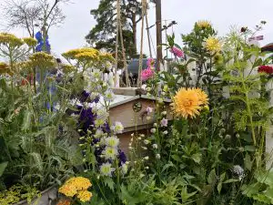 Work begins at RHS Sandringham