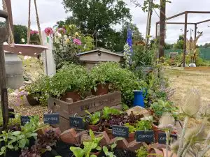 Work begins at RHS Sandringham