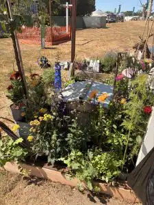 RNAA Cube Garden (1)