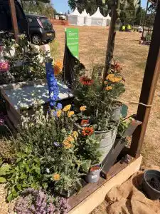 RNAA Cube Garden (2)