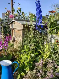RNAA Cube Garden